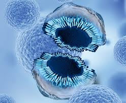 Unlock the Power of Exosomes: The Future of Skin Regeneration