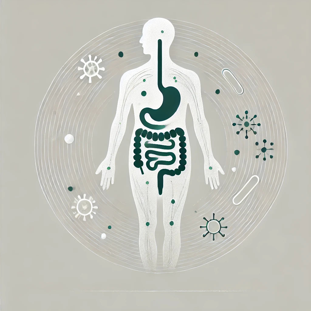 The Gut-Skin Connection: How Gut Health Directly Impacts Your Skin